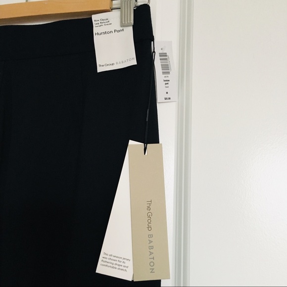 Aritzia The Group BABATON Hurston Pant - Picture 3 of 3